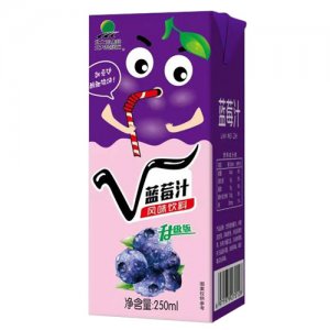 北大荒藍莓汁風(fēng)味飲料250ml
