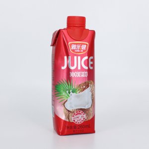 雅樂(lè)健椰子汁260mL