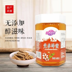 三月花開(kāi)黨參蜂蜜500g