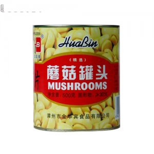 金華賓蘑菇罐頭500g