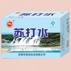 今報(bào)喜蘇打水箱裝