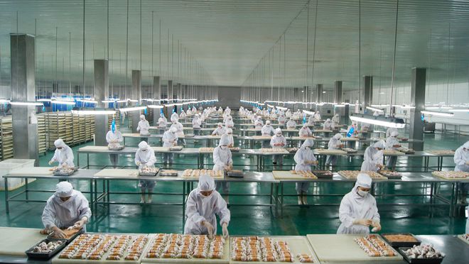 寵物食品第三股來(lái)了！ OEM 模式為主，能吃到寵物市場(chǎng)大蛋糕嗎？1.jpg