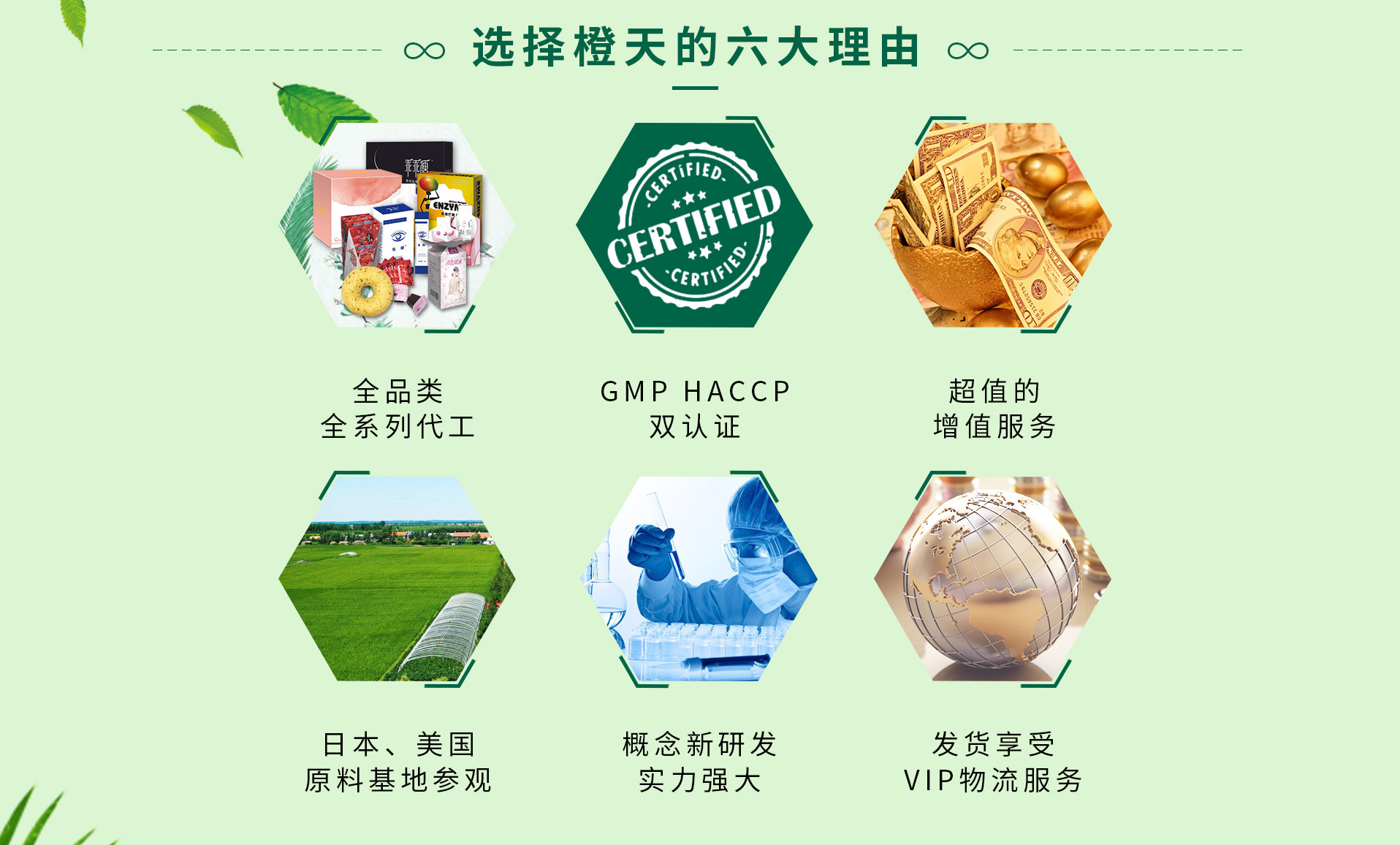 廣東橙天綠寶生物醫(yī)藥開發(fā)有限公司.jpg