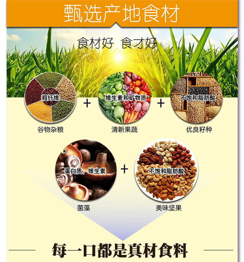未標題-1_04.jpg