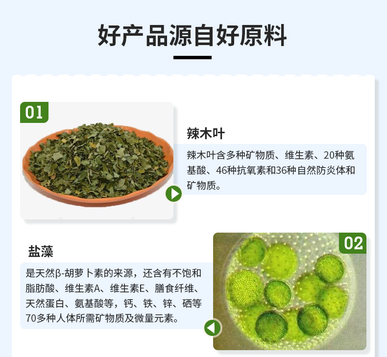 辣木鹽藻詳情_03.jpg