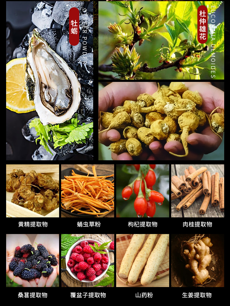 鹿鞭人參_05.jpg