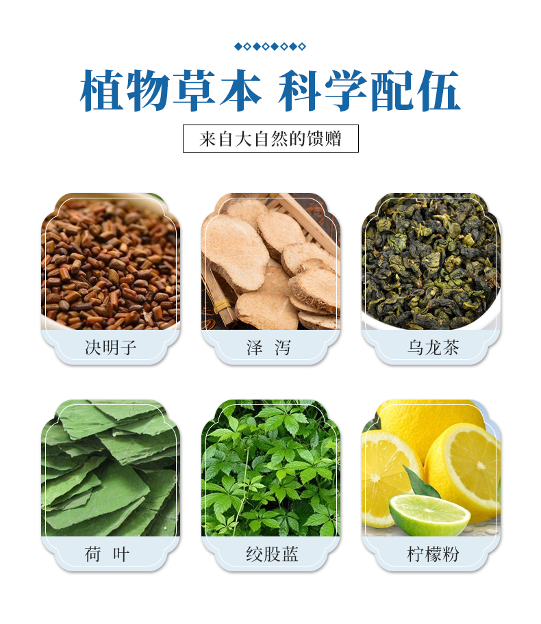 決明子澤瀉荷葉茶中文版_06.jpg