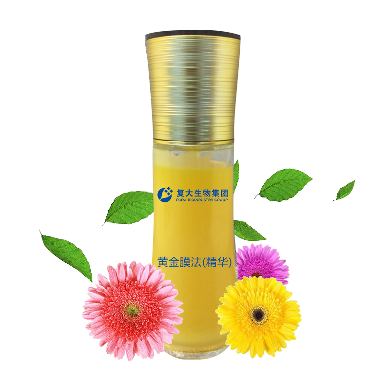 黃金膜法(精華).jpg