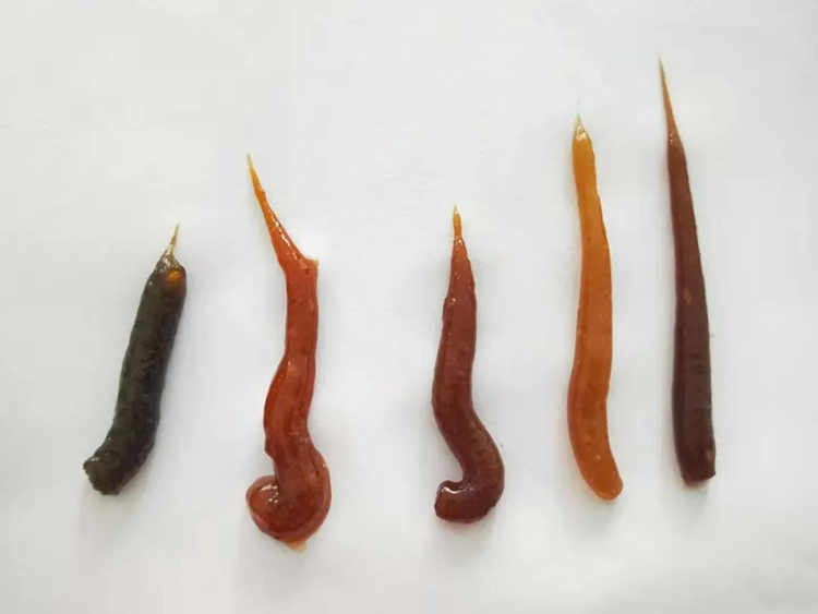 營養(yǎng)膏系列.jpg