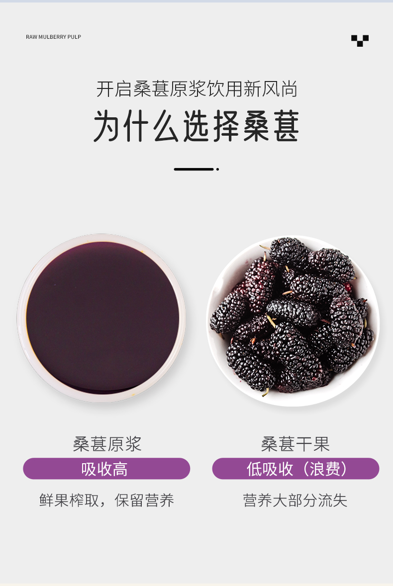 桑葚原漿_04.jpg