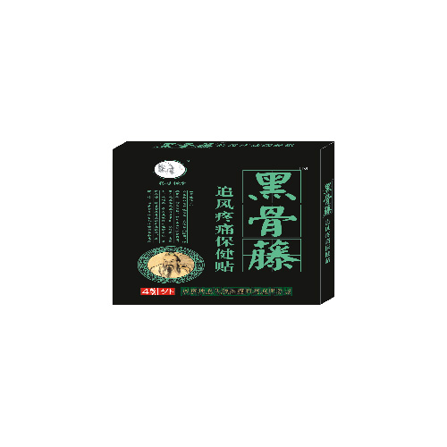 追風疼痛保健貼.jpg