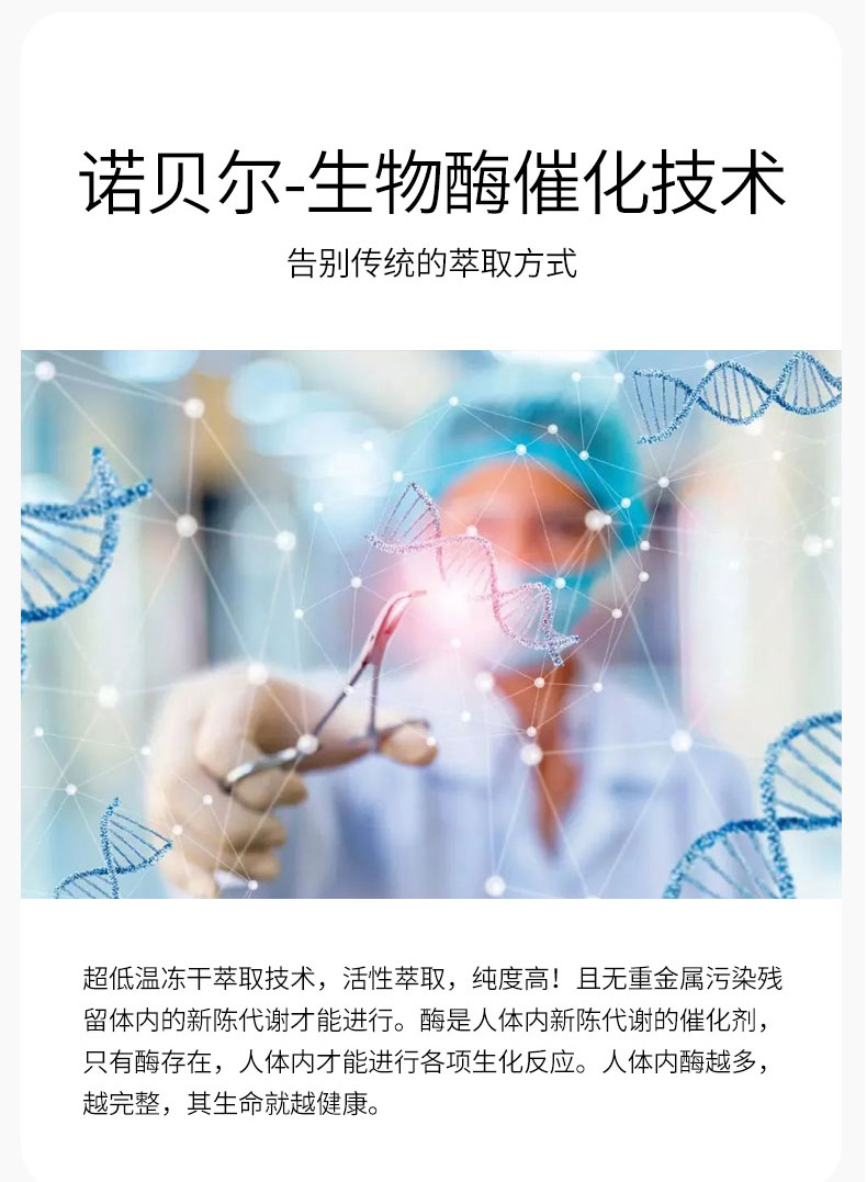 羊_12.jpg