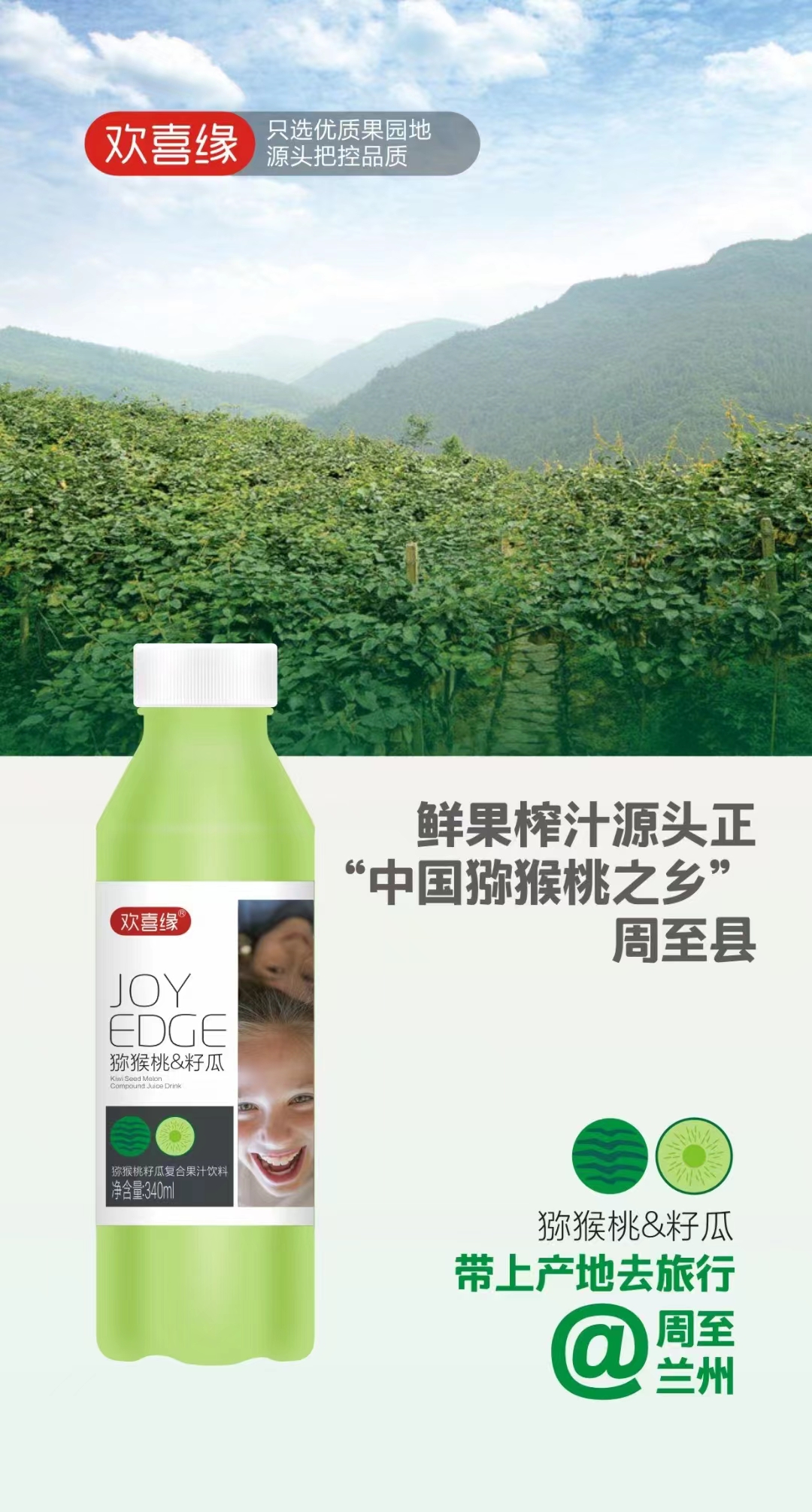 獼猴桃籽瓜復(fù)合果汁飲料9.jpg
