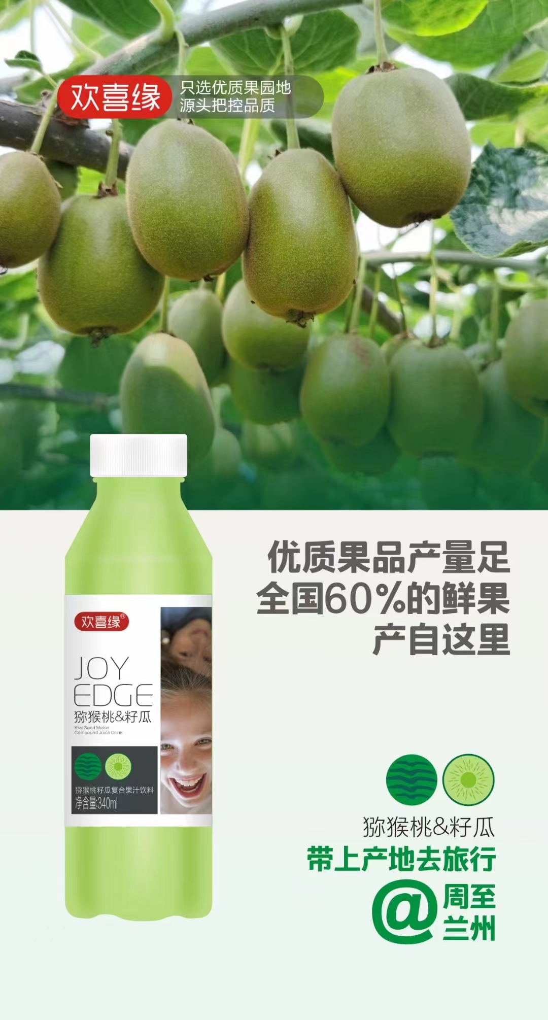 獼猴桃籽瓜復(fù)合果汁飲料7.jpg