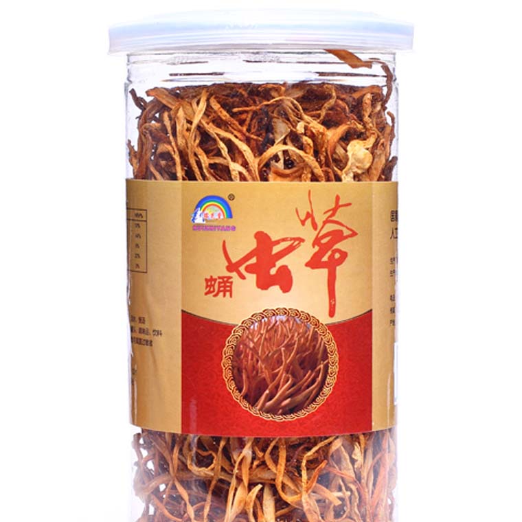 蛹蟲(chóng)草1.jpg