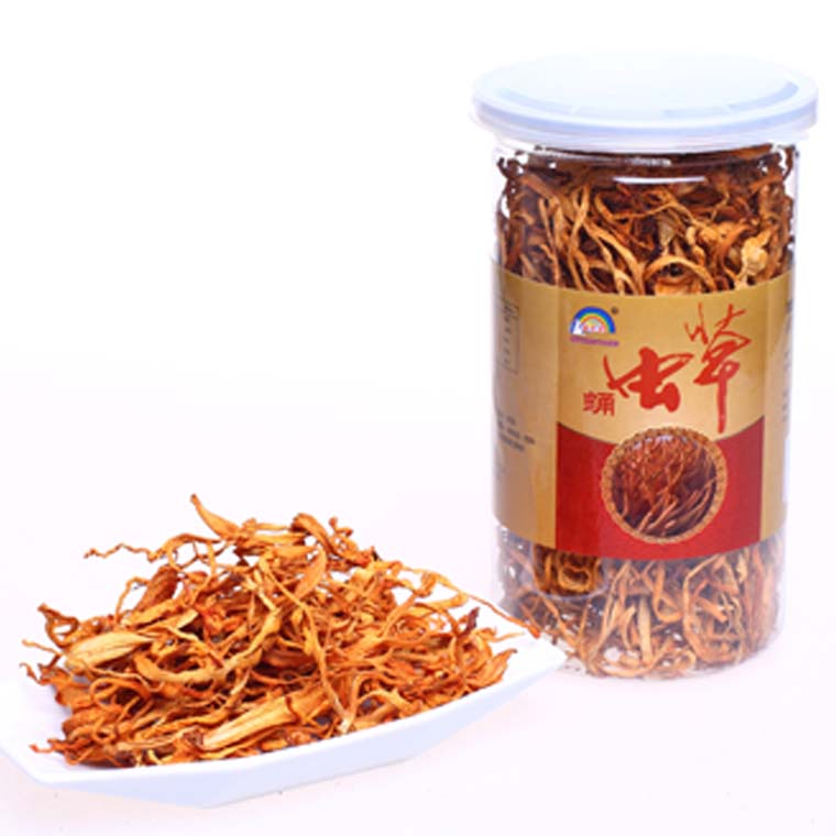 蛹蟲(chóng)草.jpg