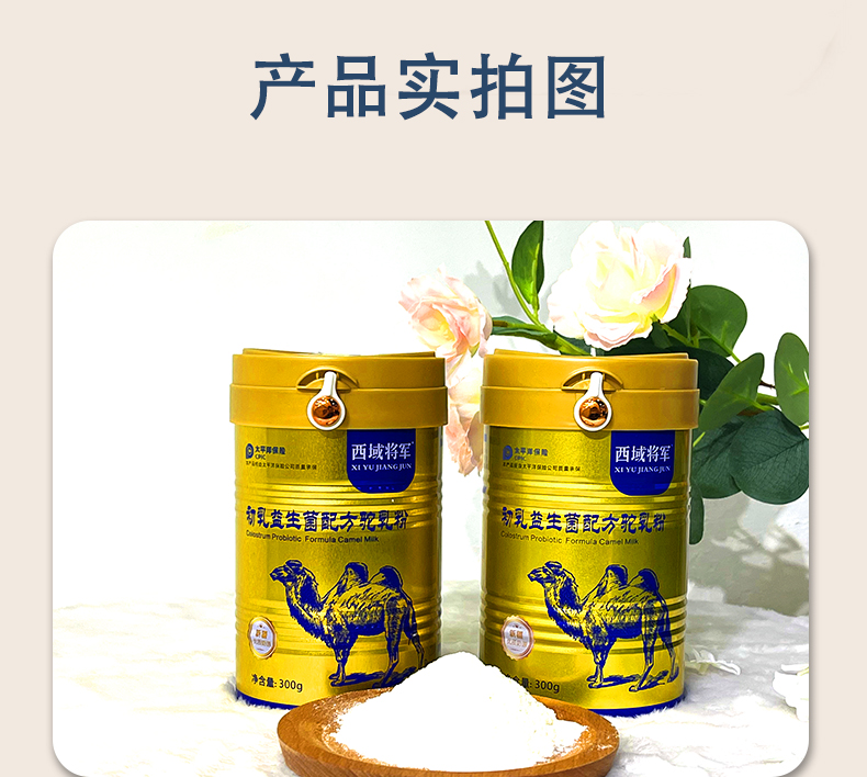 西域?qū)④姵跞橐嫔浞今勅榉踎10.jpg
