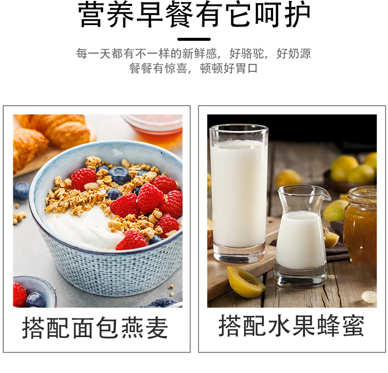 塞上傳奇120g益生菌配方駝奶粉詳情頁_10.jpg