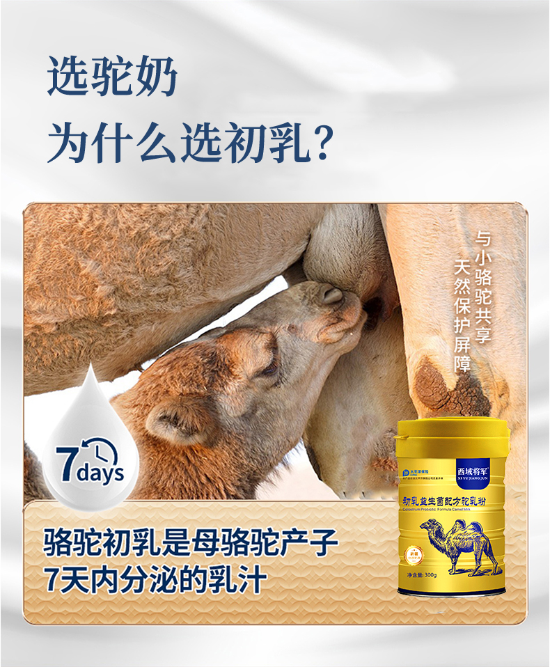 西域?qū)④姵跞橐嫔浞今勅榉踎04.jpg