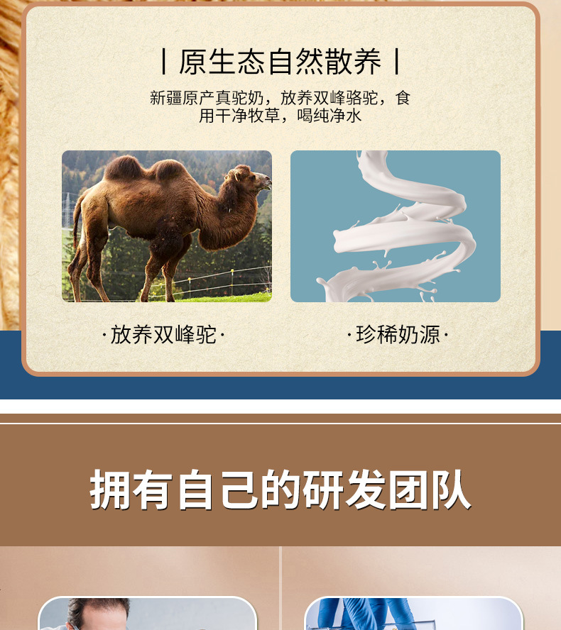 12-詳情圖.jpg
