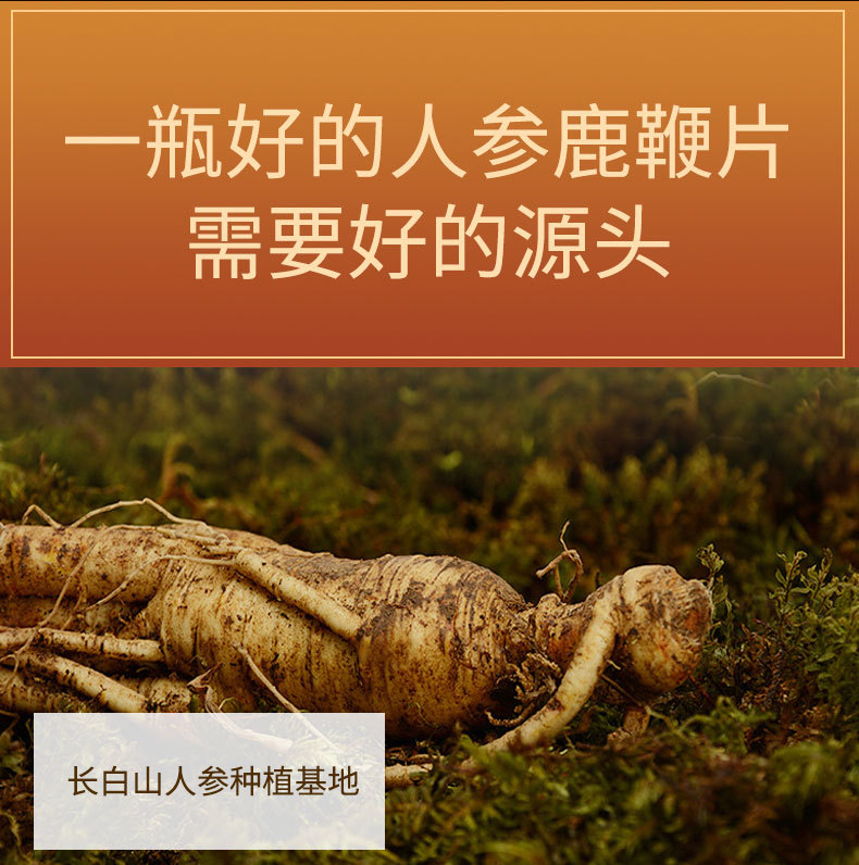 7-詳情圖.jpg
