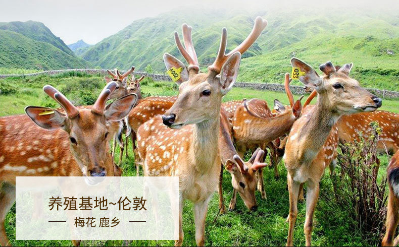 8-詳情圖.jpg