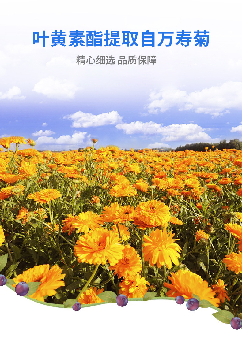 12-詳情圖.jpg