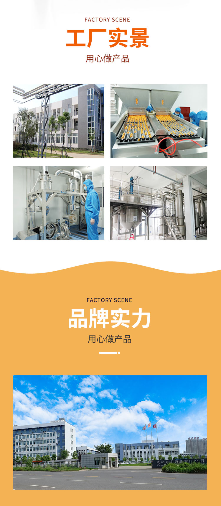 維生素C粉_07.jpg
