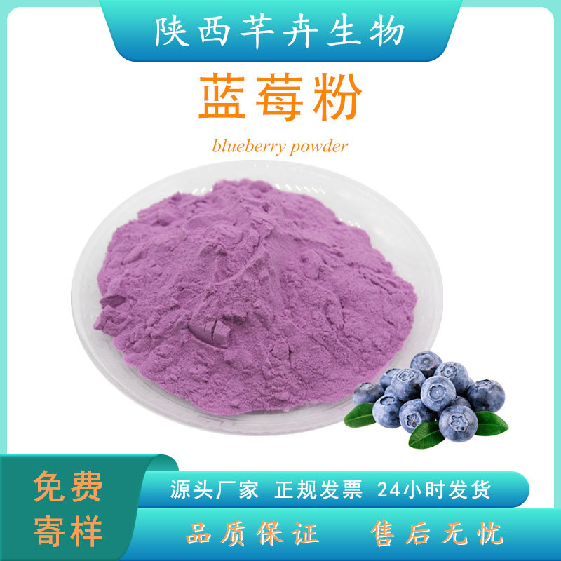 藍(lán)莓粉食品級(jí) 藍(lán)莓提取物 水溶藍(lán)莓果粉 藍(lán)莓汁 濃縮粉 廠家現(xiàn)貨.jpg