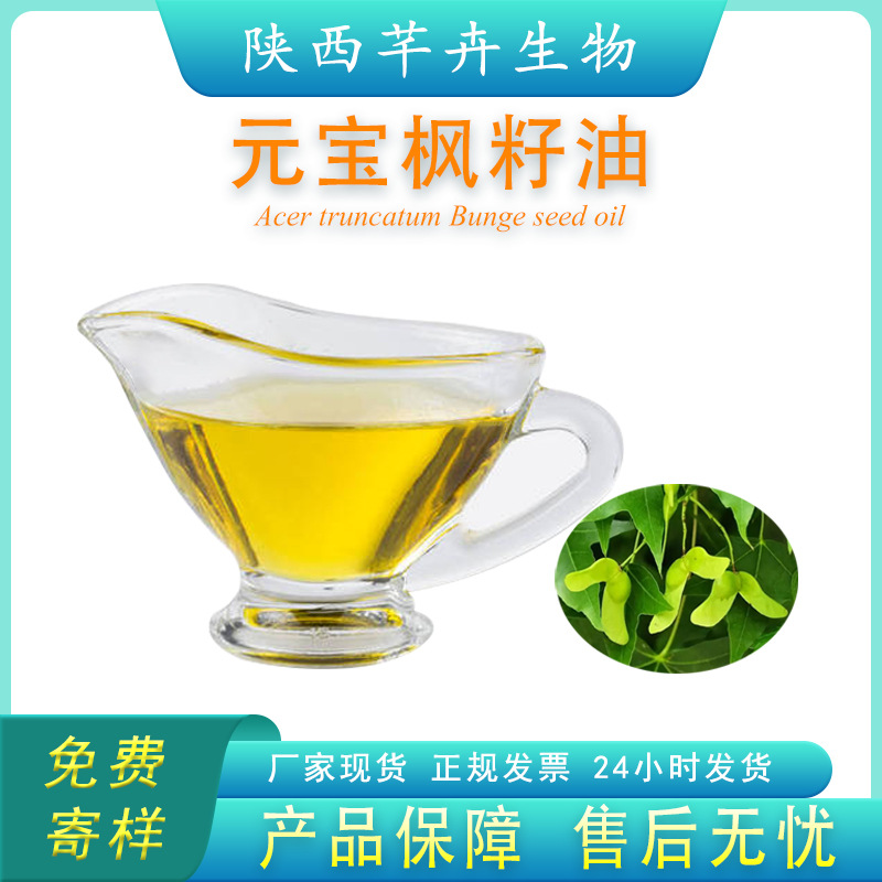 元寶楓籽油99% 神經(jīng)酸≥6% Nervonic Acid 元寶楓油 植物提取油包.jpg