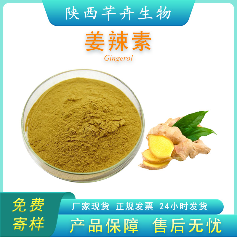 姜辣素 5%多規(guī)格 食品級(jí) 生姜提取物 姜酚 姜辣素粉原料 廠家包郵.jpg