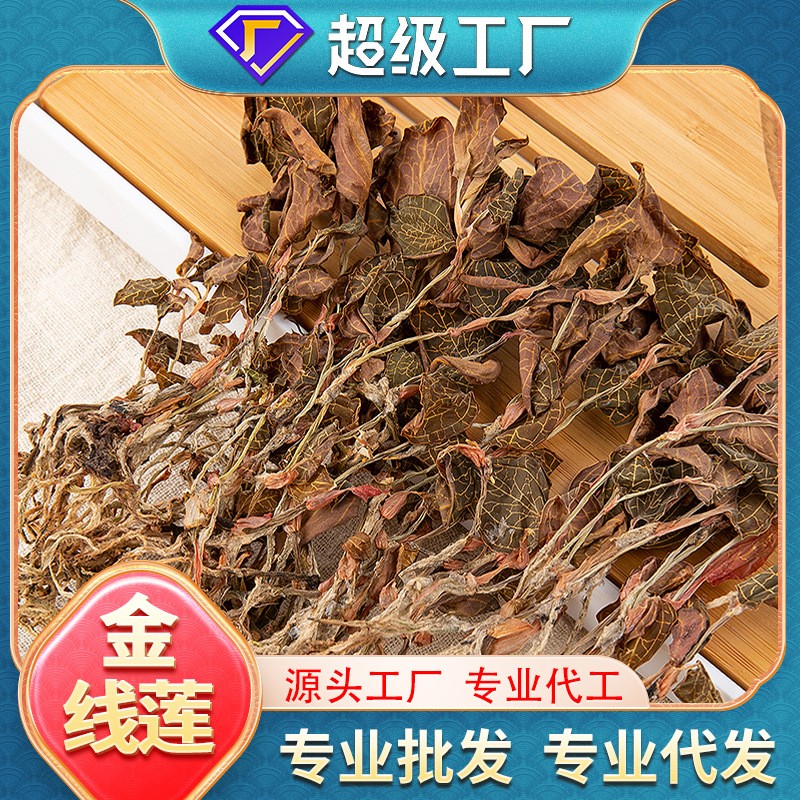 福建干貨純?nèi)~全株金線蓮批發(fā)泡水煲湯種植尖葉代發(fā)金線蓮養(yǎng)生茶.jpg