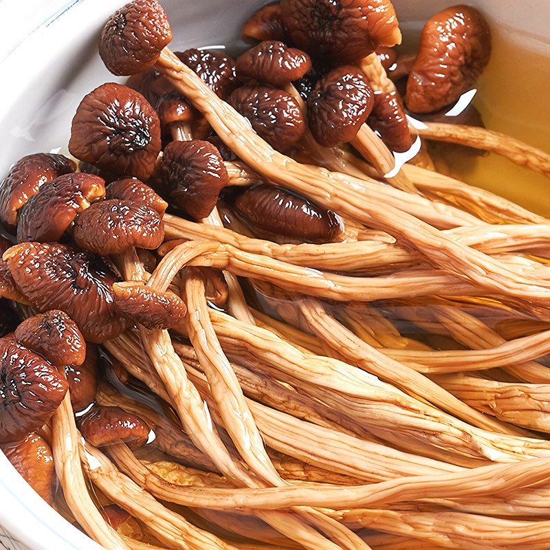 OEM定制加工茶樹菇廣東廠家干貨批發(fā)商用袋裝干茶樹菇一件代發(fā).jpg