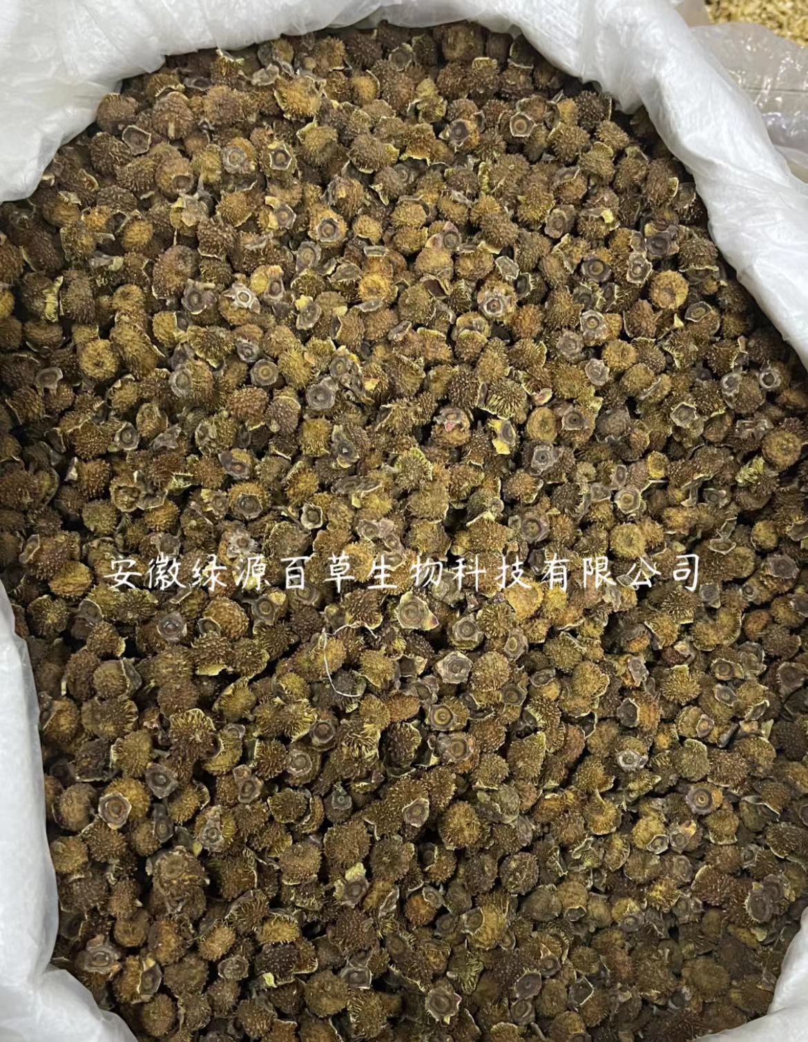 廠(chǎng)家批發(fā)貴州刺梨干散裝刺梨干果 野生刺梨脫刺選貨泡水泡酒 代發(fā).jpg