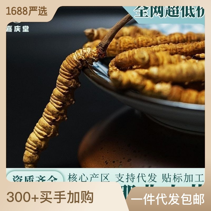 西藏那曲冬蟲夏草正品凍干 傳統(tǒng)滋補(bǔ)品營(yíng)養(yǎng)品 蟲草干貨源頭批發(fā).jpg