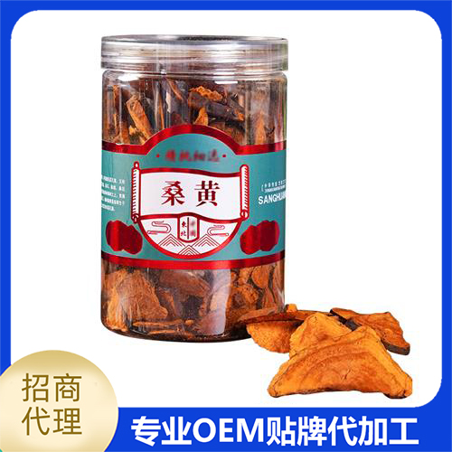 桑黃.jpg