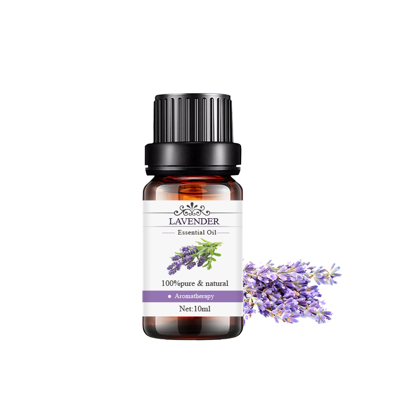 薰衣草 Lavender.jpg
