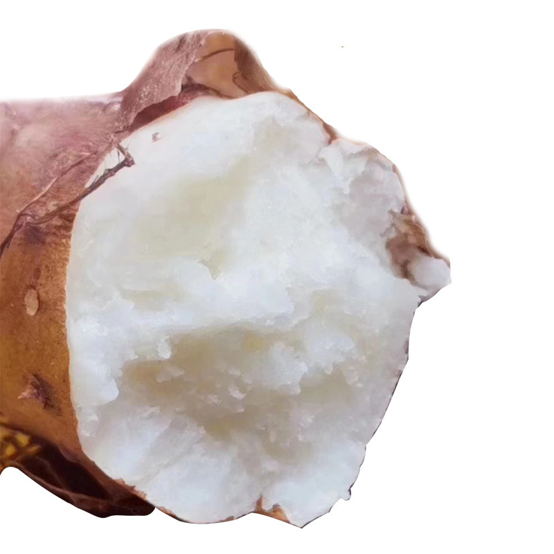 廠家批發(fā)新鮮鐵棍山藥河南特產焦作壚土鐵棍山藥溫縣鐵桿懷山藥棍3.jpg