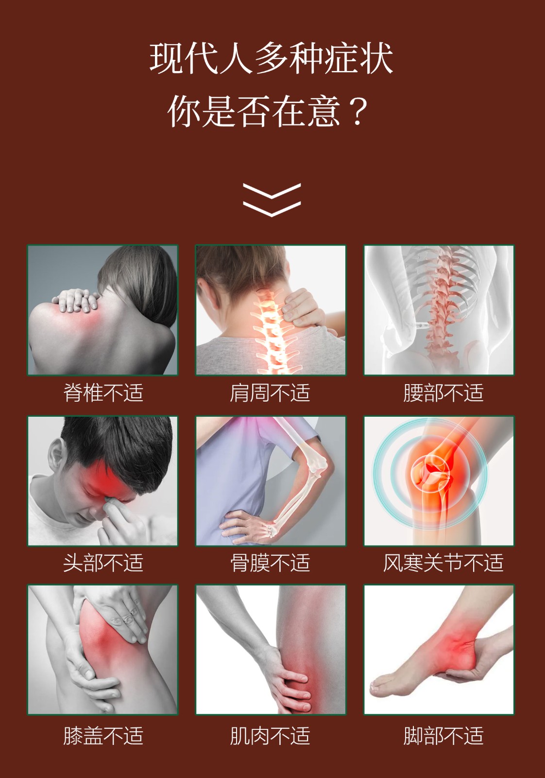 20次中藥材藥油藥酒養(yǎng)生套盒_03.jpg