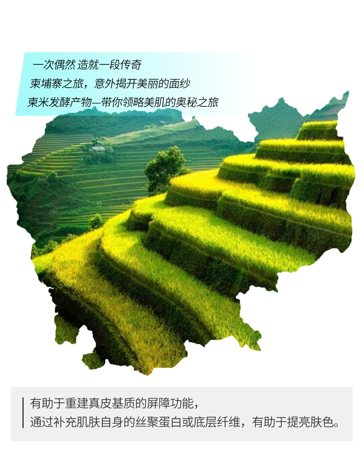 詳情頁_05.jpg