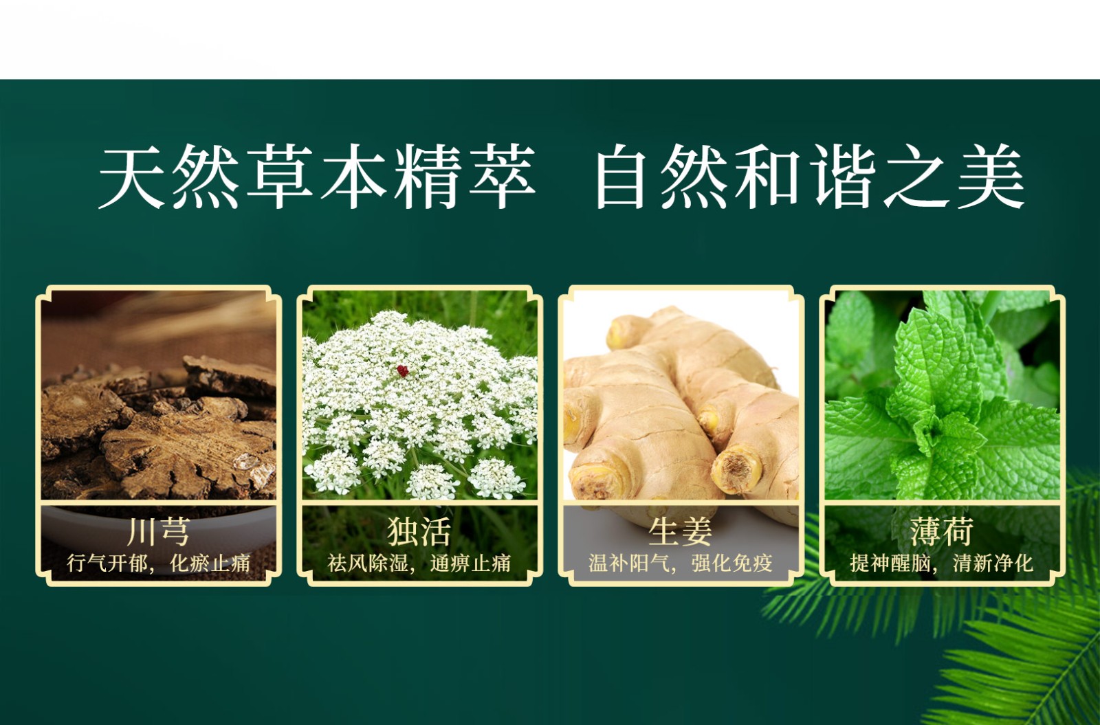 耳療詳情頁(yè)_06.jpg