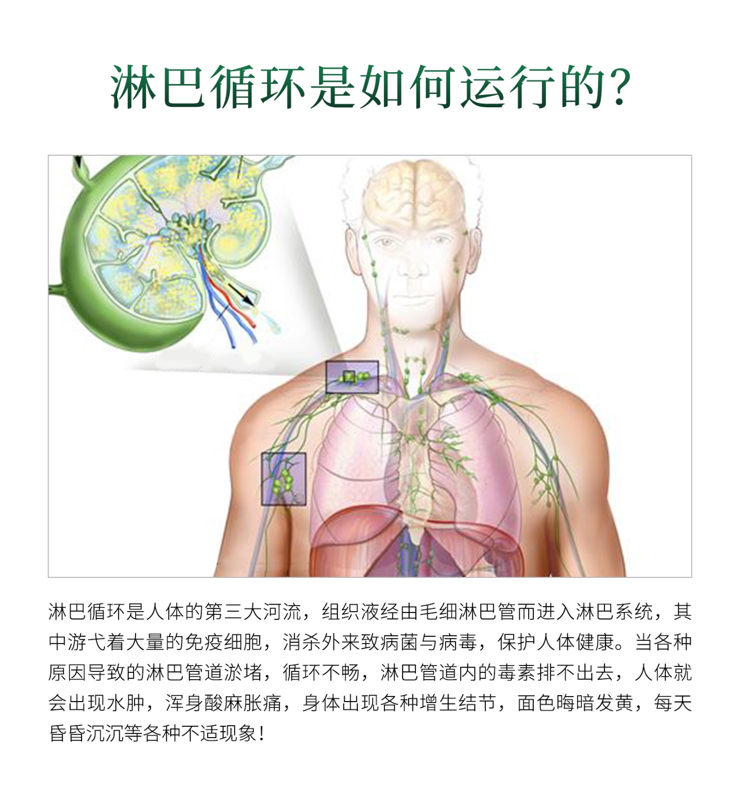 舒適寧詳情頁(yè)_04.jpg