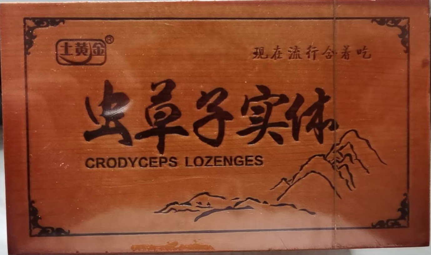 蟲草子實(shí)體.jpg