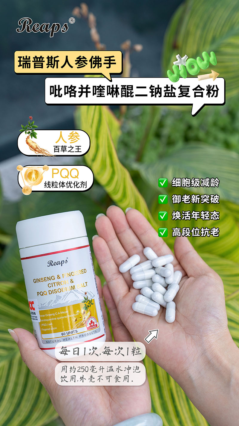 Reaps瑞普斯人參佛手吡咯并喹啉醌二鈉鹽復合粉4.jpg