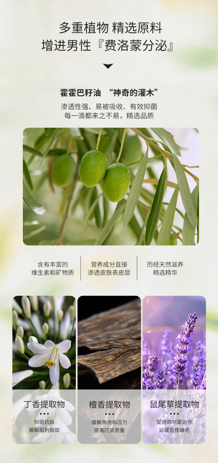 描述圖_07.jpg