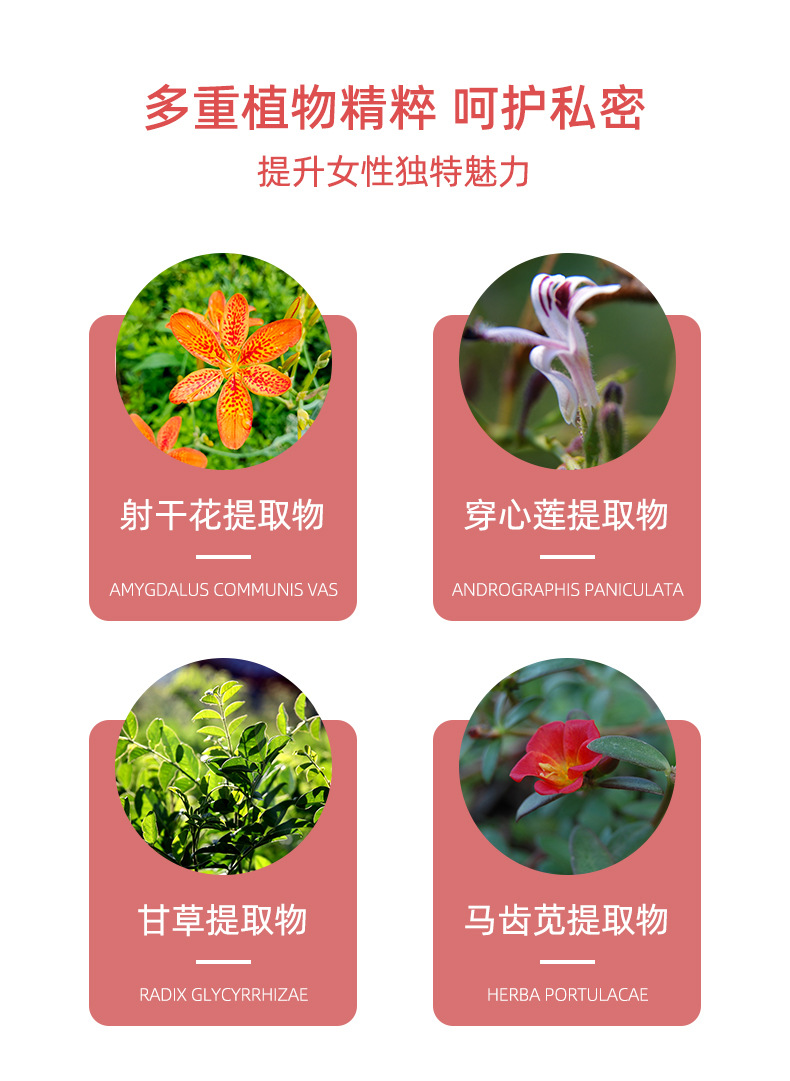 描述圖_06.jpg
