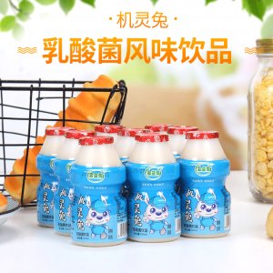 100mlx40機靈兔乳酸菌兒童營養(yǎng)早餐酸牛奶代加工貼牌OEM/ODM