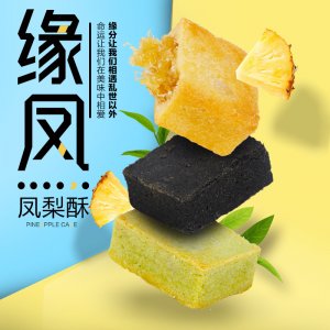 北小喵臺(tái)灣風(fēng)味鳳梨酥300gOEM代加工