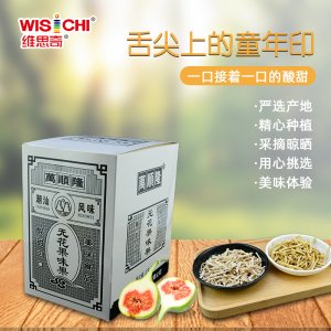 廣東維思奇食品有限公司