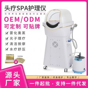 廣州震澳美容儀器有限公司